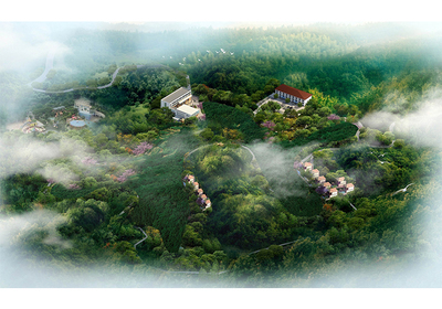 云南楚雄“泽龙生态旅游农庄”项目总体策划方案